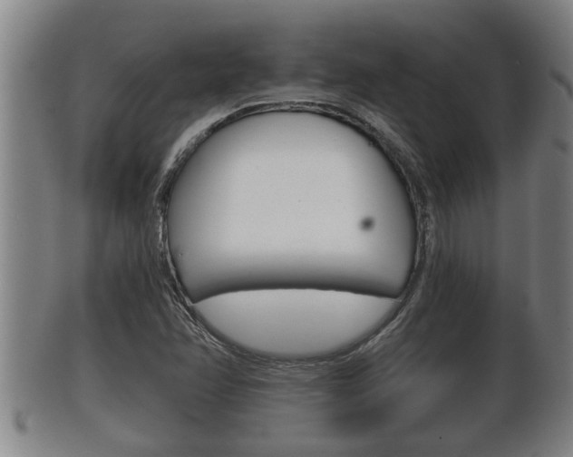 X0000100371358200806060752