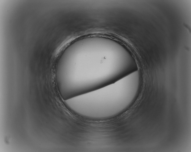 X0000100371359200806060752