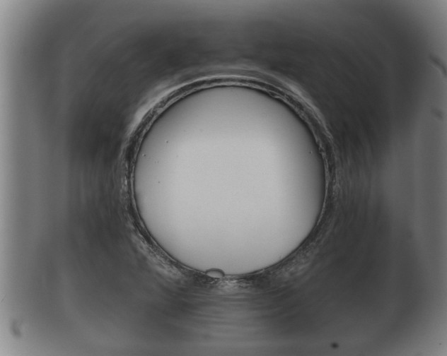 X0000100371360200806060752