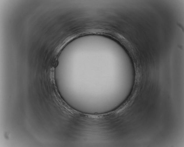X0000100371361200806060752