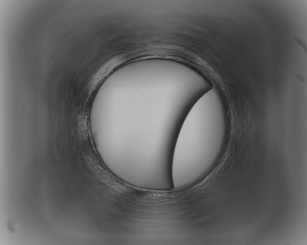 X0000100371362200806060751