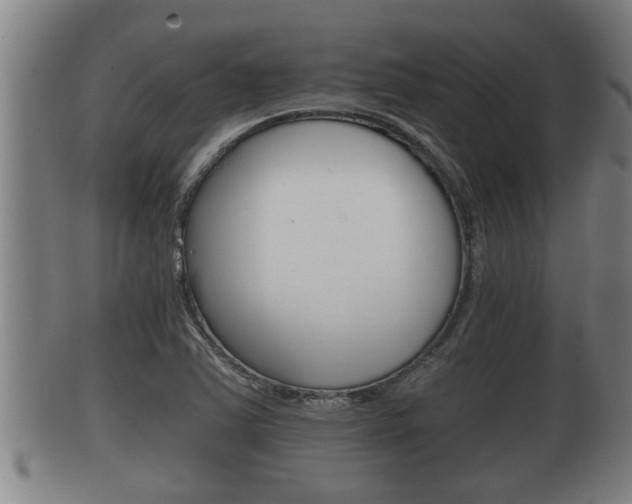 X0000100371363200806060751