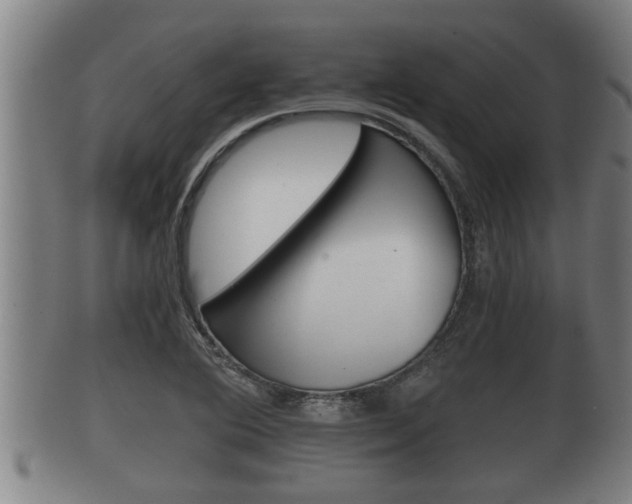 X0000100371364200806060751