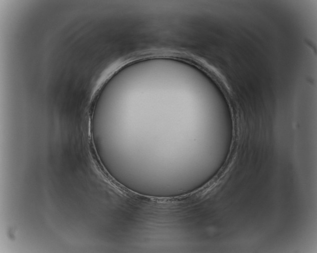 X0000100371365200806060751