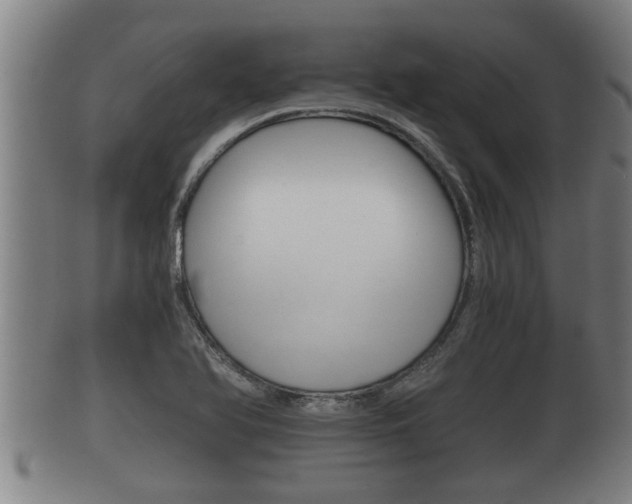 X0000100371366200806060751