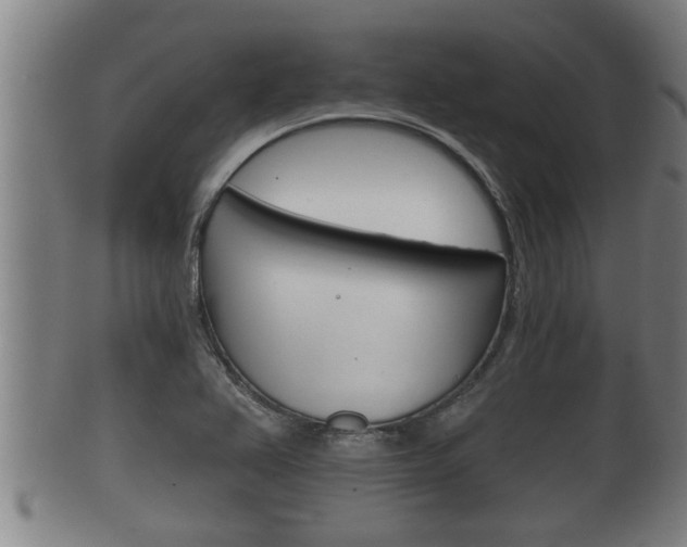 X0000100371367200806060751