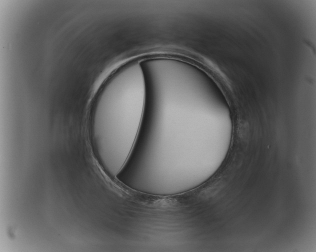 X0000100371368200806060751
