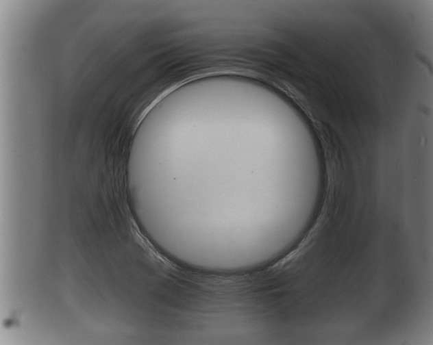 X0000100371369200806060751