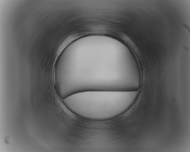 X0000100371370200806060751