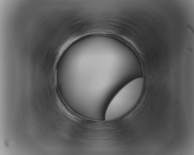 X0000100371371200806060751