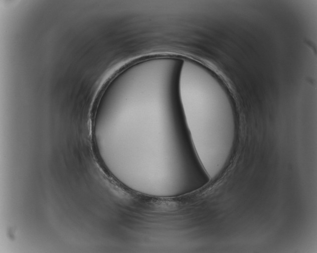 X0000100371372200806060751