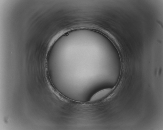 X0000100371373200806060751
