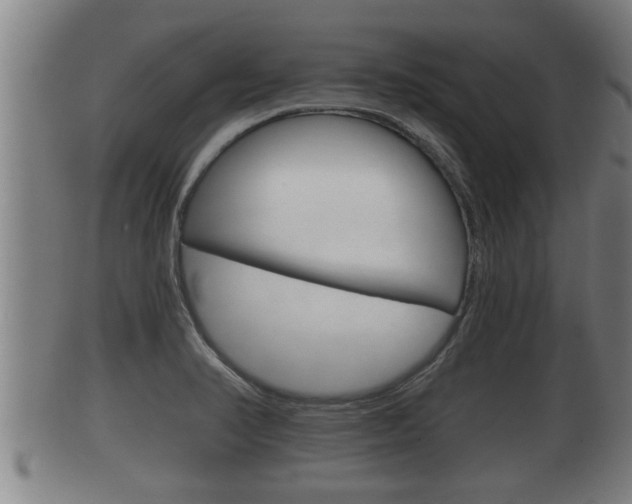 X0000100371374200806060751