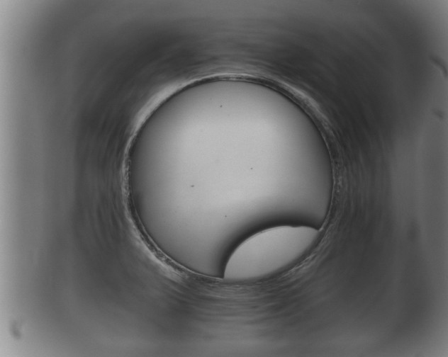 X0000100371375200806060751
