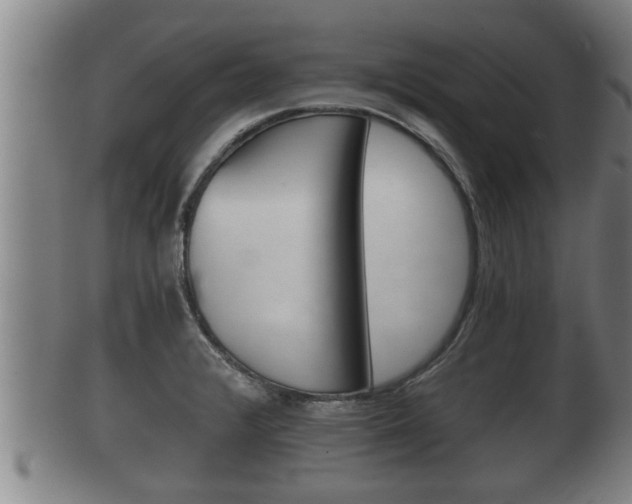 X0000100371376200806060751