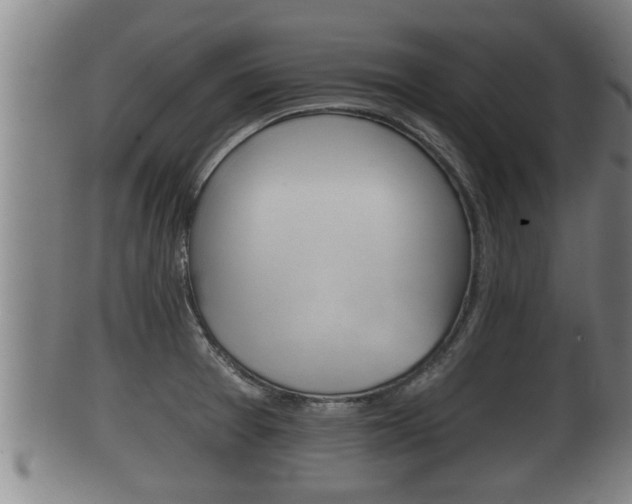 X0000100371377200806060751