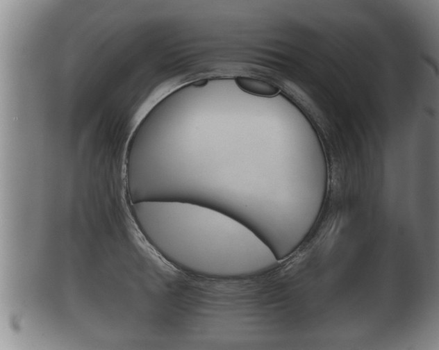 X0000100371378200806060751