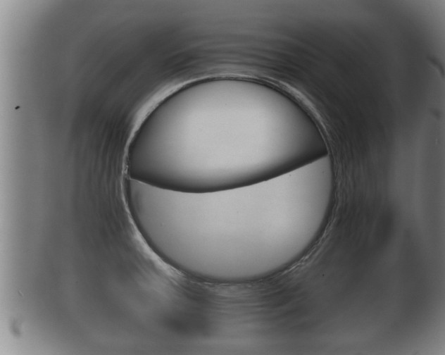 X0000100371379200806060751