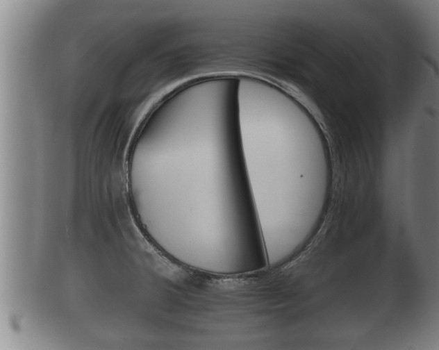 X0000100371380200806060751