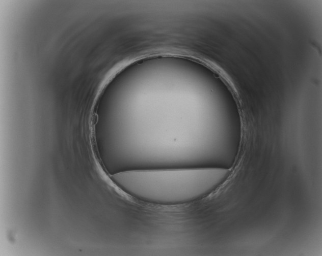 X0000100371381200806060751