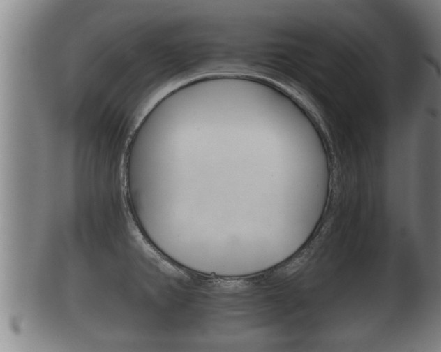 X0000100371382200806060751