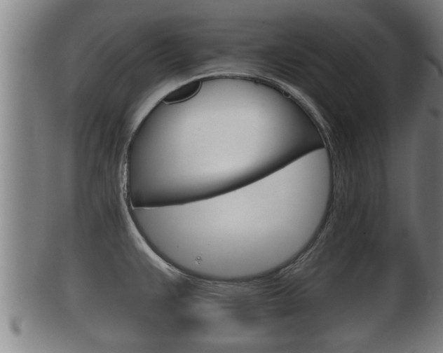 X0000100371383200806060751