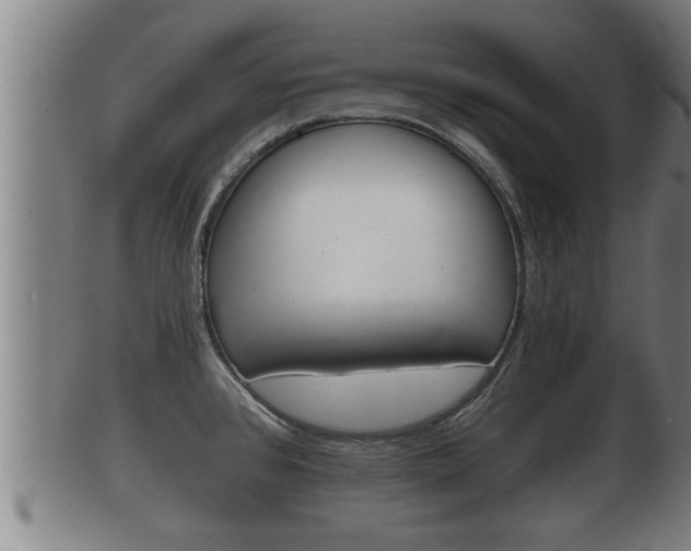 X0000100371384200806060751