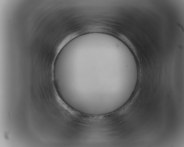 X0000100371386200806060751