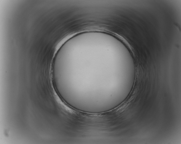 X0000100371387200806060751