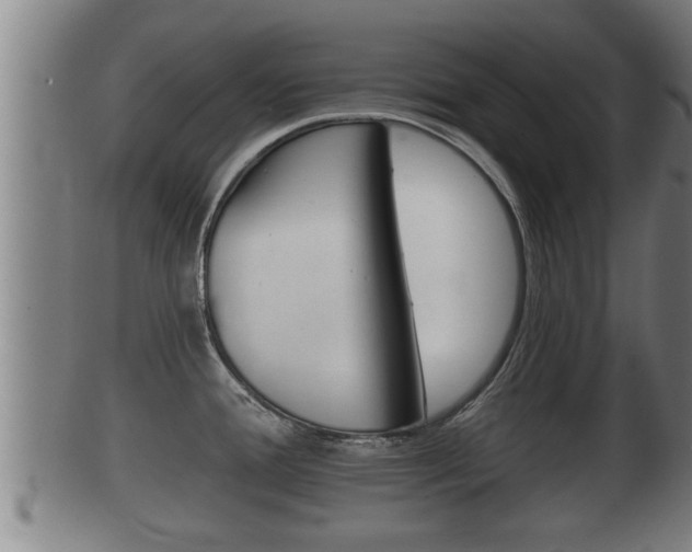X0000100371388200806060751