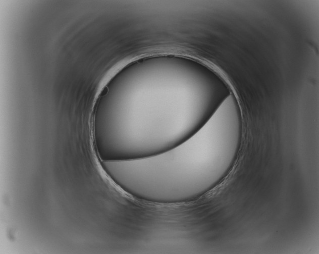 X0000100371389200806060751