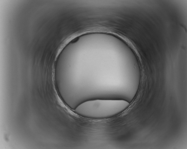 X0000100371390200806060751