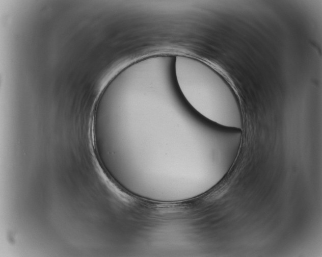 X0000100371391200806060751
