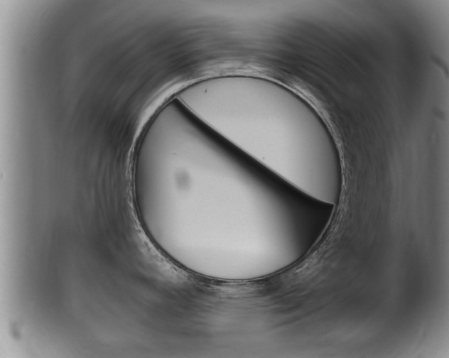 X0000100371392200806060751