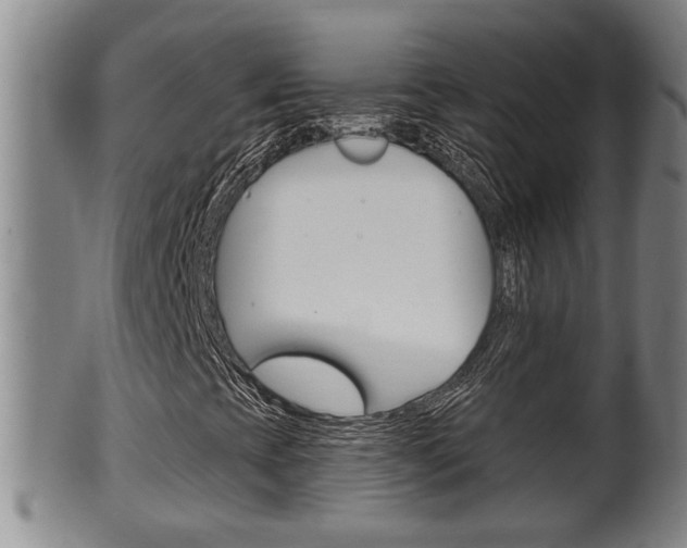 X0000100371393200806060750