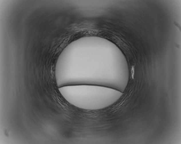 X0000100371395200806060750