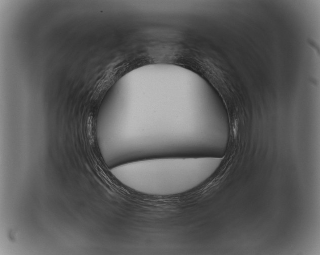 X0000100371396200806060750