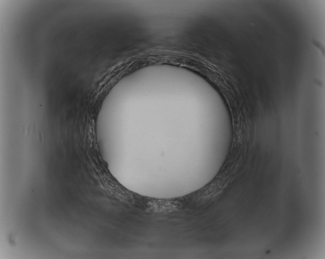 X0000100371397200806060750