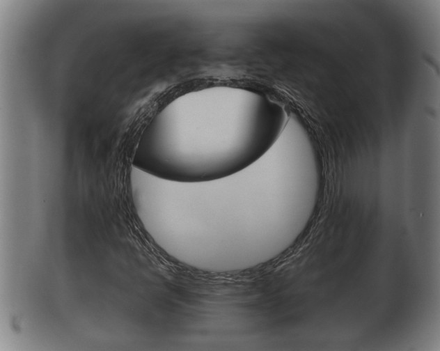 X0000100371398200806060750
