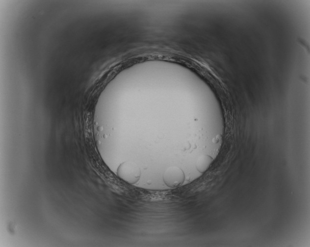 X0000100371399200806060750