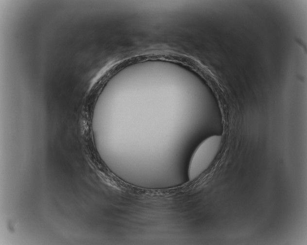 X0000100371400200806060750
