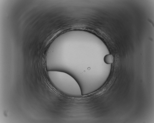 X0000100371401200806060751