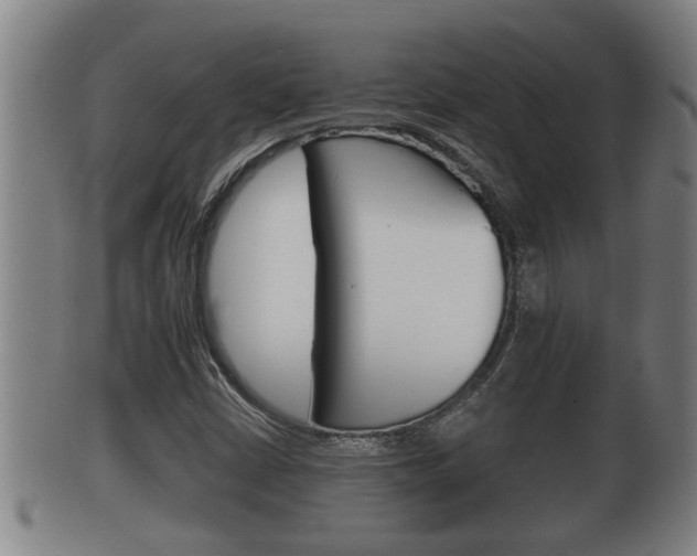 X0000100371402200806060751