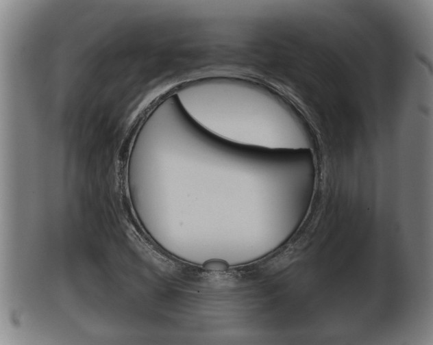 X0000100371404200806060751
