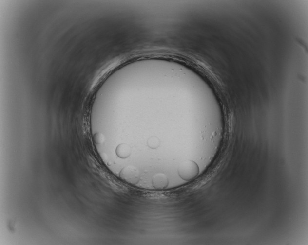 X0000100371405200806060751