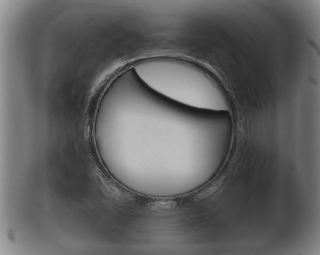 X0000100371406200806060751