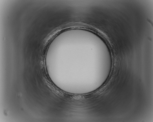 X0000100371407200806060751