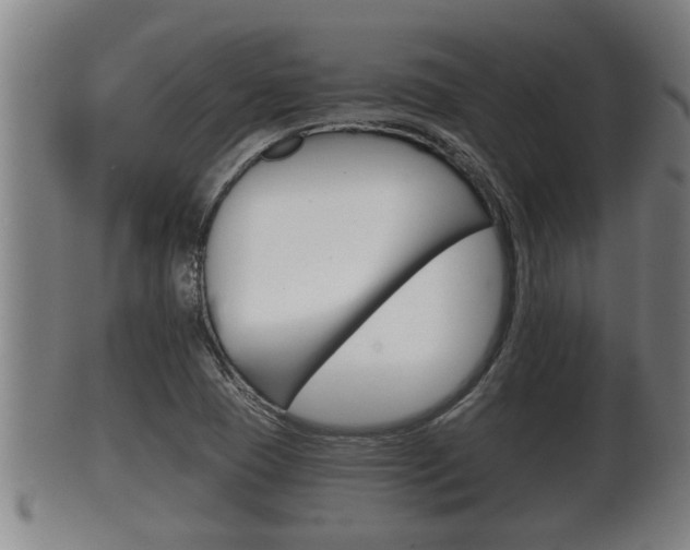 X0000100371409200806060751