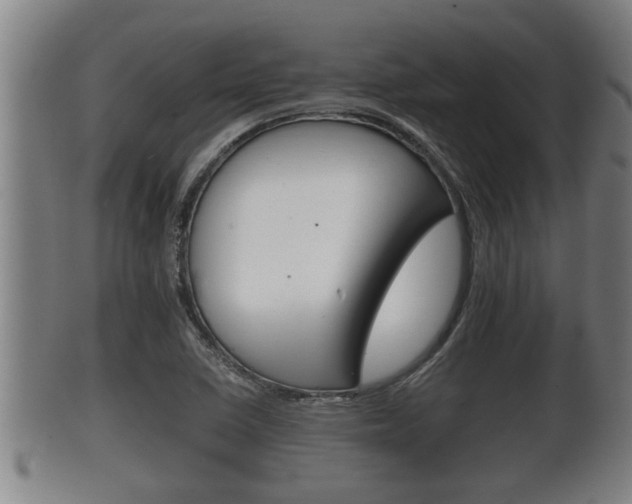 X0000100371410200806060751