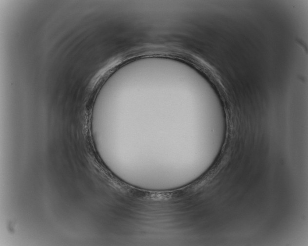 X0000100371411200806060751